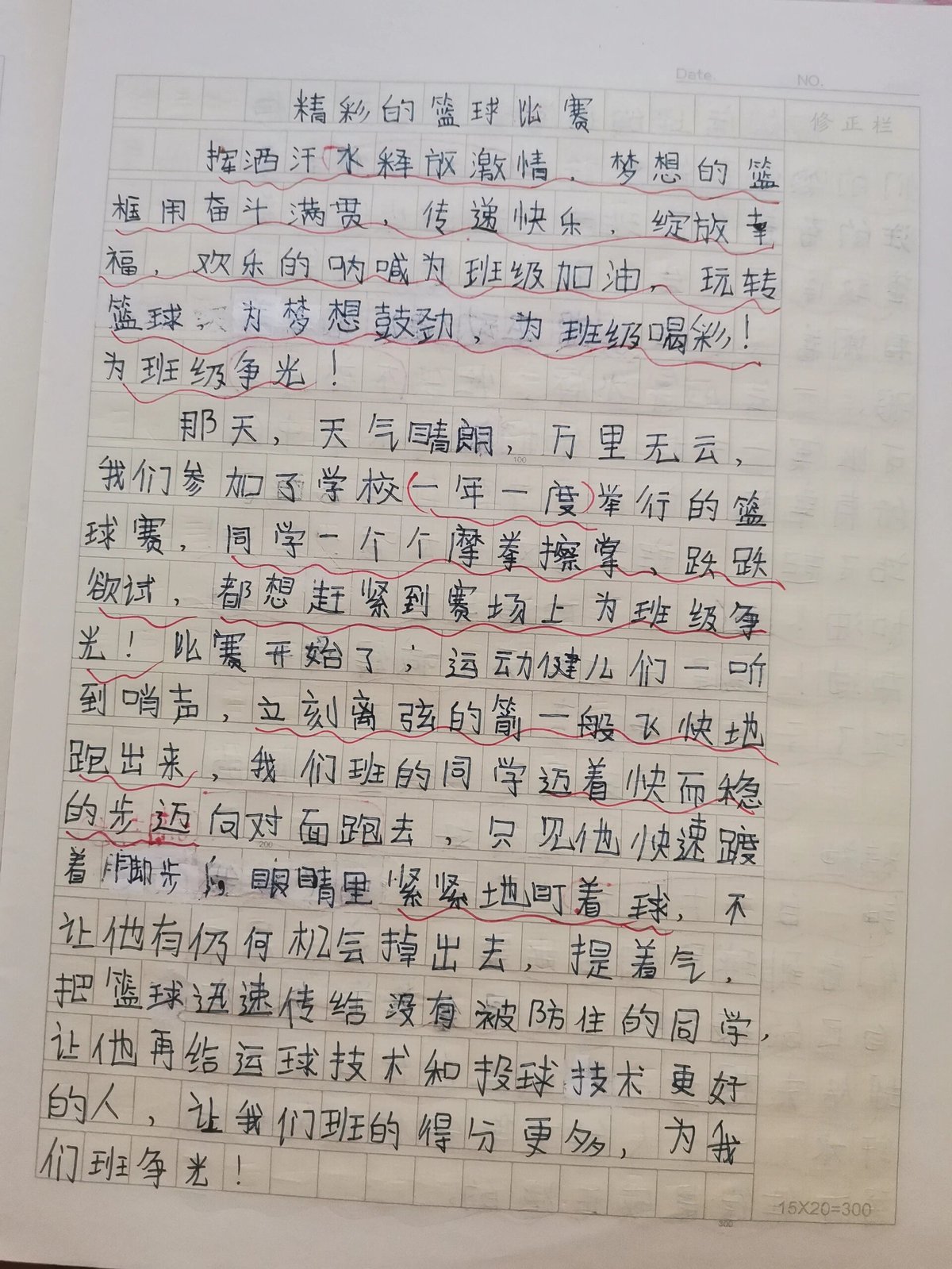 篮球训练心得体会500字左右作文